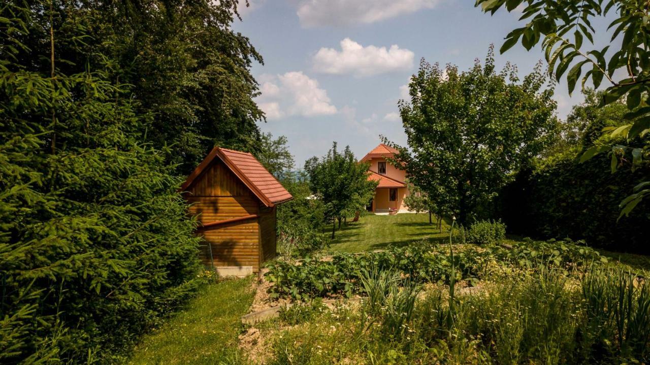 Planinca -Hisa Z Razgledom Apartment Smarje pri Jelsah Bagian luar foto