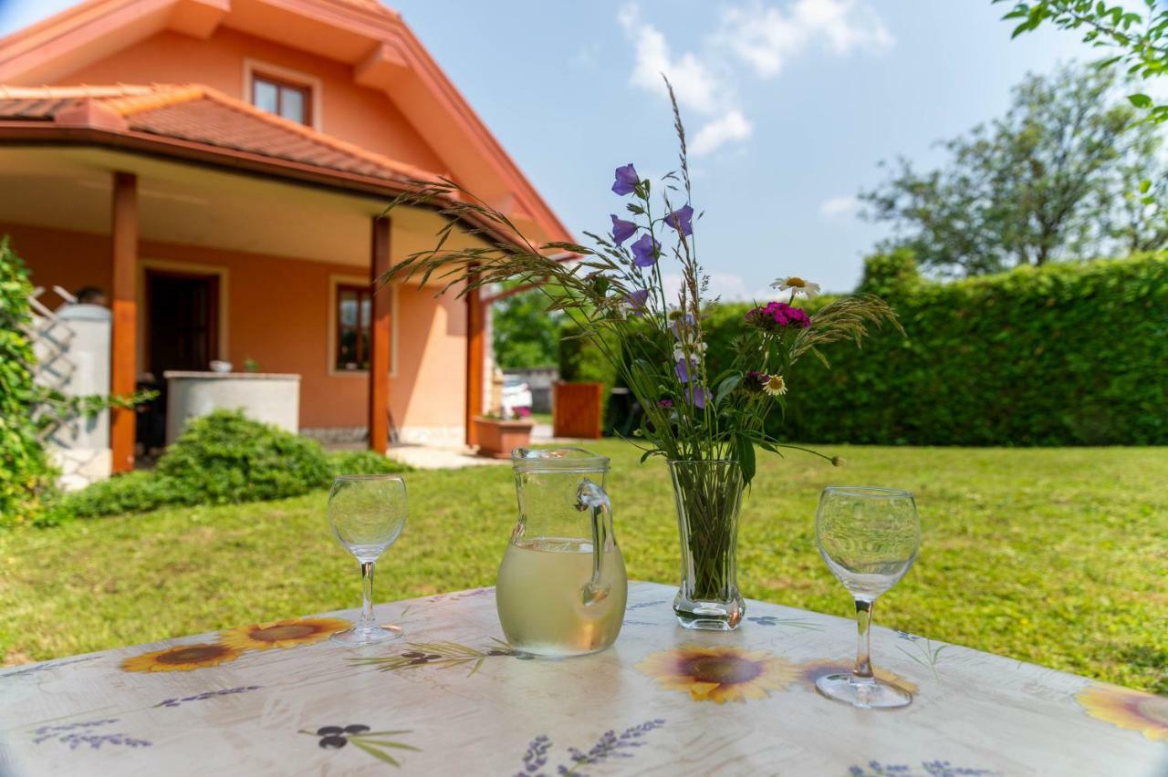 Planinca -Hisa Z Razgledom Apartment Smarje pri Jelsah Bagian luar foto