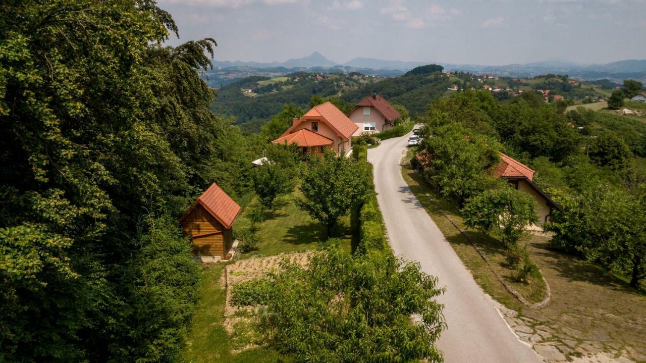 Planinca -Hisa Z Razgledom Apartment Smarje pri Jelsah Bagian luar foto