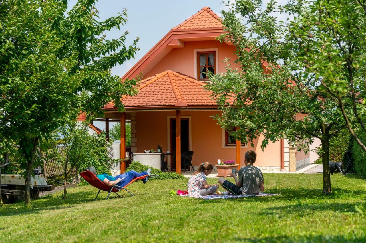 Planinca -Hisa Z Razgledom Apartment Smarje pri Jelsah Bagian luar foto